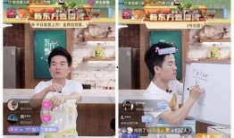 今日菜价爆料新闻直播视频,今日菜价波动，揭秘市场动态